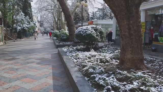 Спартак-Пушкинская смотреть онлайн