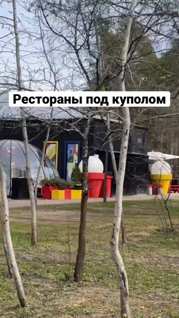 #кудасходить #выходнойдень #чтопосмотретьвмоскве #shortvideo #паркраздолье  #паркмалевич #short