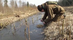 02 Огниво на тростнике