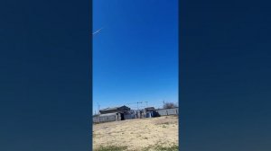 Голуби 8.04.2020 николаевские серпастые Елисеев волгодонск