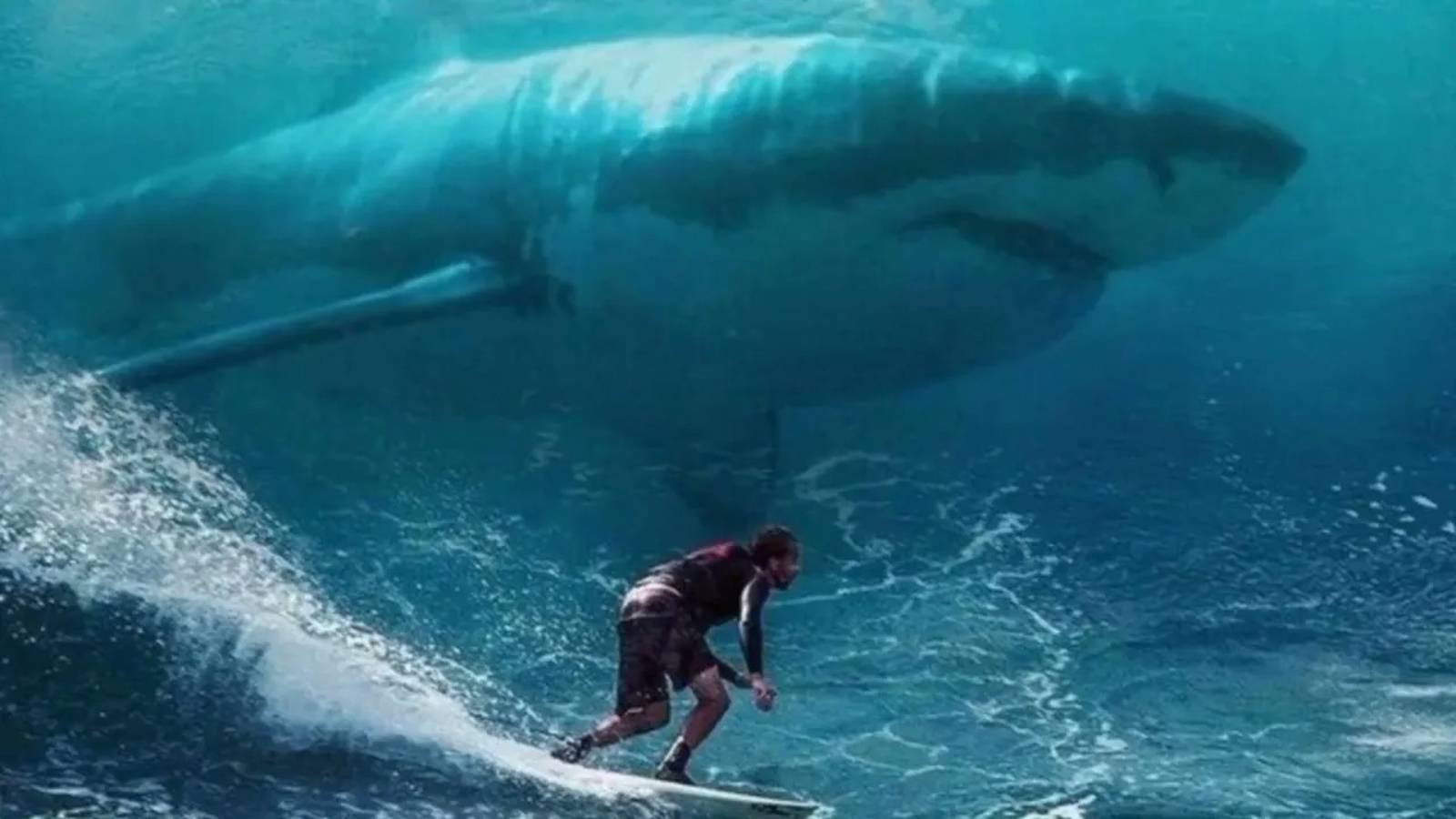 15 невероятных фактов об акулах, о которых мало кто знает смотреть онлайн