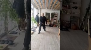 Шаг тайцзи.Ставр.