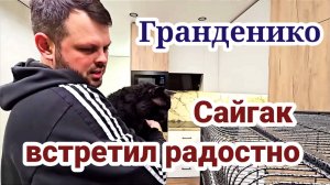 Коля Сытник- Лорик В Норме! Сайгак Встретил Радостно ! Назар Накормил Борщом