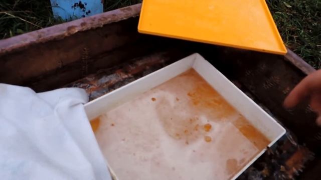 Пришла прохлада с дождями, продолжаю кормить жидким мёдом с отваром полыни смотреть онлайн