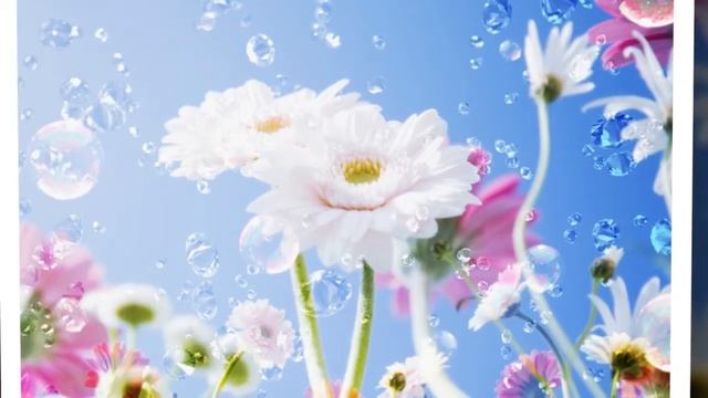 Детские клипы по порядку смотреть онлайн