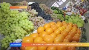 1,3% за месяц – цены в Мордовии продолжают расти