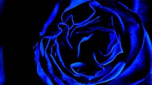 Все оттенки Индиго: Погружение в Глубину Цвета