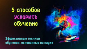 Физиология обучения: как заставить мозг работать на вас