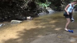 Langkawi, a waterfall Durian / Водопад Дуриан, о. Лангкави
