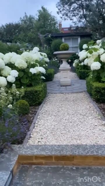 #гортензия #hydrangea #flower #садгортензий #garden #сад #hydrangeaflower #hortensia #annabelle смотреть онлайн