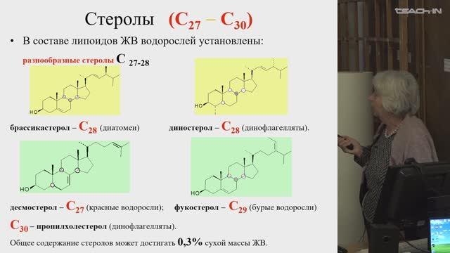 Соболева Е.В. - Химия горючих ископаемых - 20. Состав живого вещества. Панлипоидины. Торф