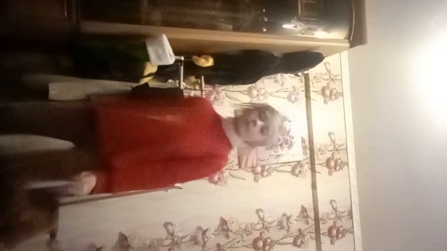 1 смотреть онлайн