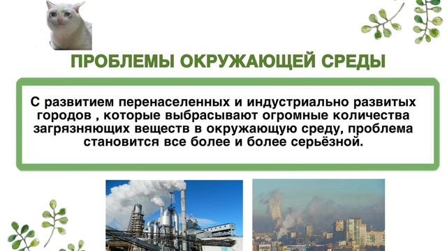 Экология 🌱