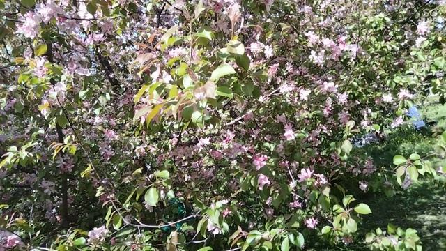 spring May 2021 смотреть онлайн