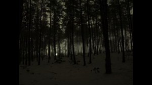 Фарфоровые коты - Не навсегда