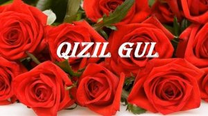 Уйгурская песня Кизил гул