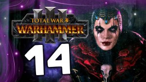 Эльспет фон Дракен Total War Warhammer 3 прохождение за Империю (сюжет) - часть 14