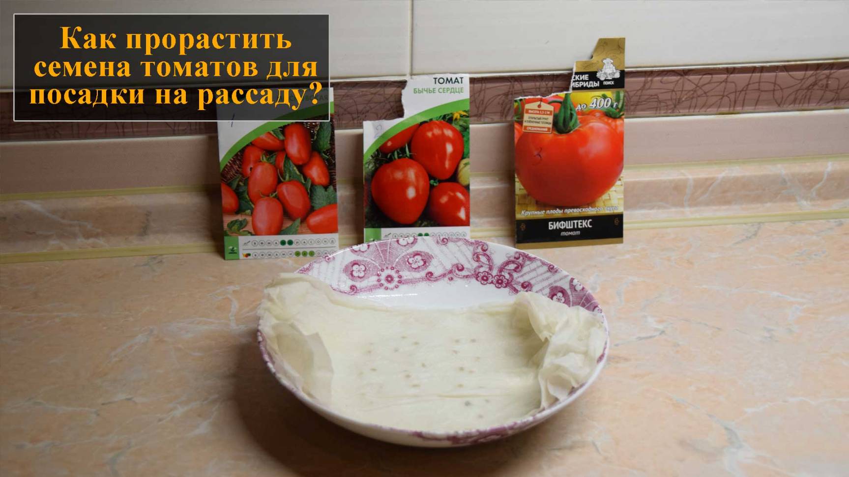 Как прорастить семена томатов для посадки на рассаду смотреть онлайн