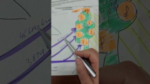 ПЕНСИЯ. КАК РАСЧИТАТЬ СВОЮ ПЕНСИЮ.КАК ПОВЛИЯТЬ через СОФИНАНСИРОВАНИЕ.