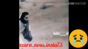бехтарин шер барои Падар