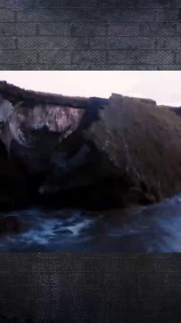 Глобальные изменения в геомагнитном поле Земли. Ч-2