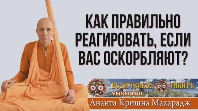 Как правильно реагировать, если вас оскорбляют?