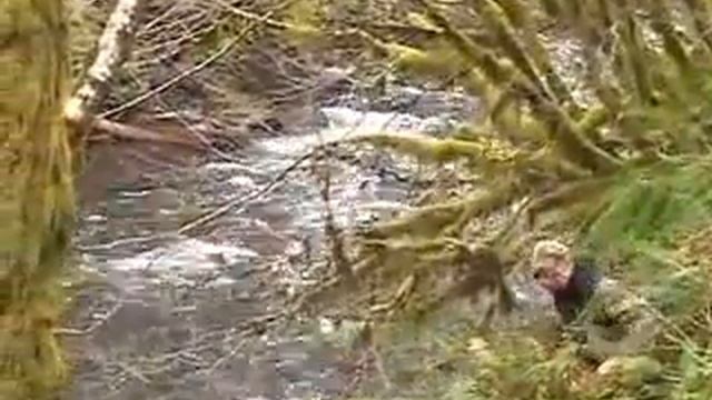 Salmon Fly Syndicate Fly-Fishing Oregon Coast Video