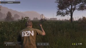 Выживание в Dayz