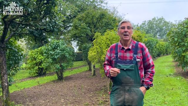 Blumenzwiebeln pflanzen - nach Gertrude Jekyll Methode - John Scarman & Stefanie (trotz Corona) смотреть онлайн