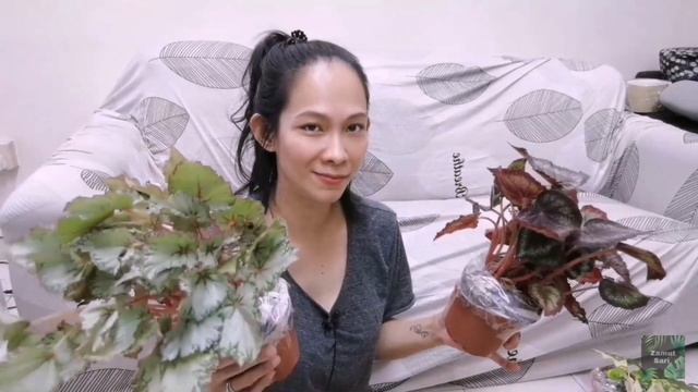 FIRST PLANT HAUL 2023 #plants #planthaul #houseplants #planthaul2023 #philodendron смотреть онлайн