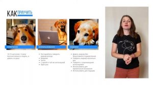 Маркер в дрессировке собак