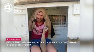 Дед, убивший внука, может избежать уголовной ответственности