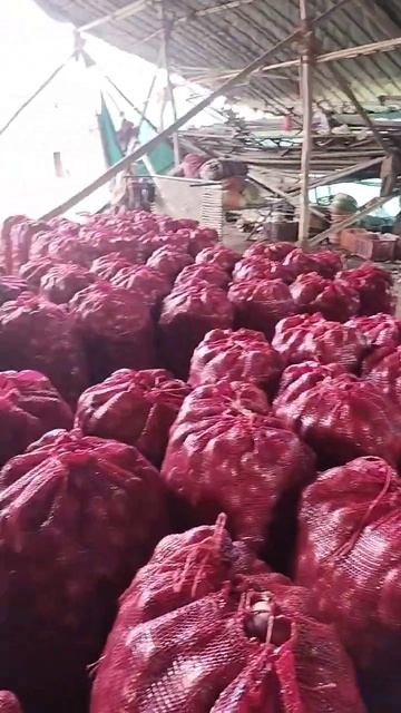 Exporting Onion to Jaunpur UP| Onion Exporter | youtube trending video | looping video@impexinfo смотреть онлайн