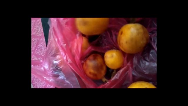 Муш Мула