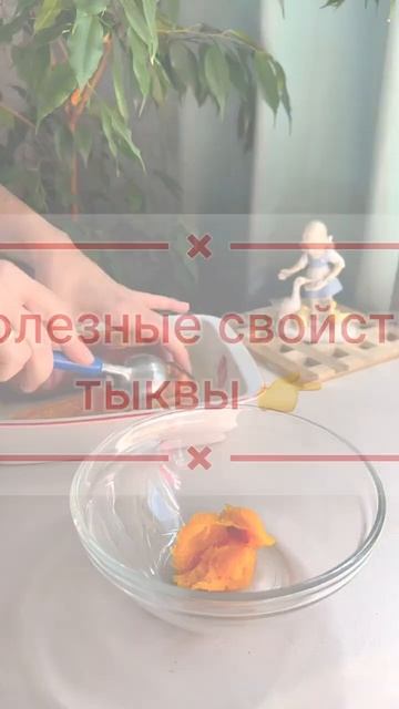 Полезные свойства тыквы 😳 это шок 😨 #зож #народнаямедицина #полезныесоветы #здоровье #медицина смотреть онлайн