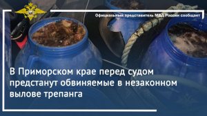 В Приморском крае перед судом предстанут обвиняемые в незаконном вылове трепанга
