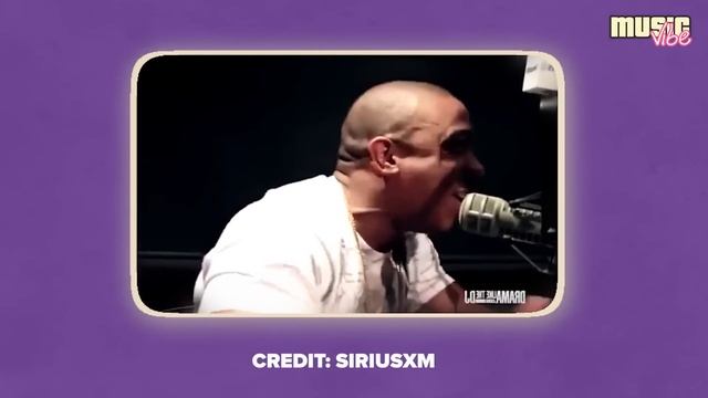 Почему рэпперы были в ужасе от DMX [PAPALAM] смотреть онлайн