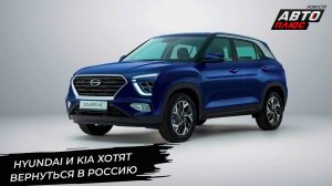 Xcite показал слабые продажи. Hyundai и Kia вернутся. Solaris еле теплится 📺 Новости с колёс №3198