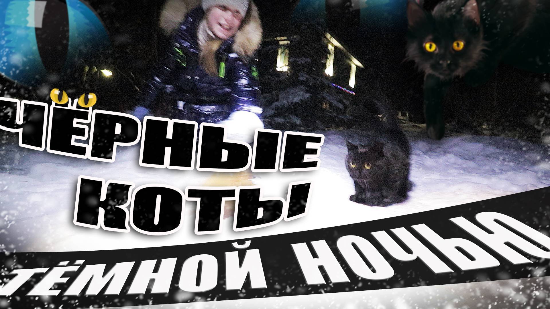 Чёрные коты тёмной ночью.
