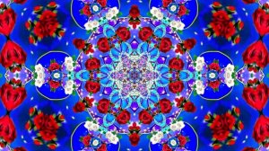 Видеофоны! Видеофон Розы белые - Розы красные 3 от Киностудии Мудрого Кота Тимофея!