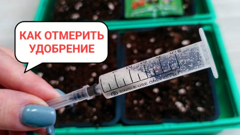 Как отмерить 1 грамм удобрения. Профилактика от Чёрной ножки