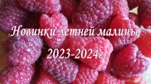 Новинки летней малины 2023-2024г слайд-шоу .23.01