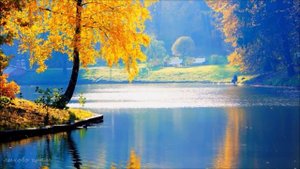 Архидиакон Роман Тамберг. Тихая осень.