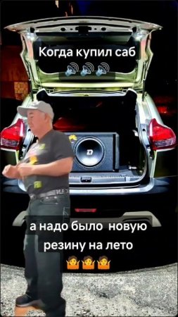 #dlaudio #автозвук #сабвуфер_в_машину