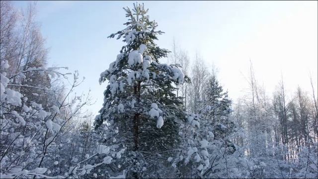 Иеромонах Роман. «Слава Богу, снова я один...» смотреть онлайн