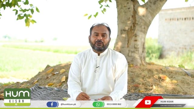 Feed Table of First 3 Months of Lactation || Wanda || Dairy Farming in Pakistan || Bachay ki Pidais смотреть онлайн