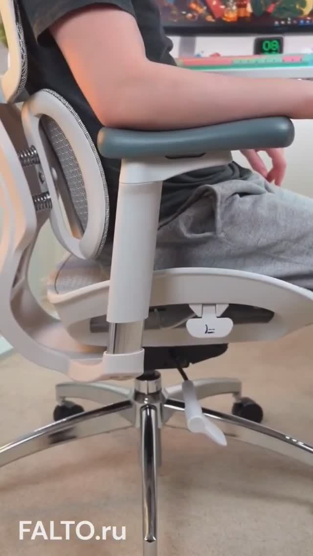 Эргономичное кресло Falto Scala смотреть онлайн