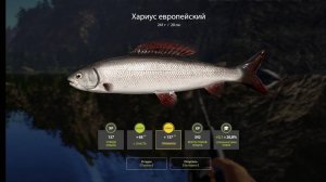 Рр4 ловим на реке белая