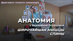 АНАТОМИЯ: ШИРОЧАЙШАЯ МЫШЦА СПИНЫ