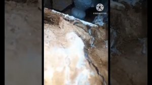 Топят сверху, а ремонт снизу. Когда у соседа сухо  и не хочет делать!